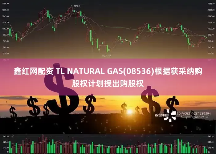 鑫红网配资 TL NATURAL GAS(08536)根据获采纳购股权计划授出购股权