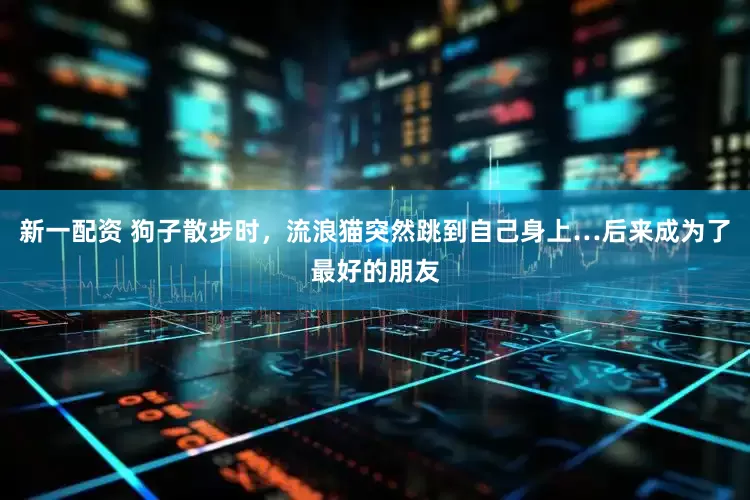 新一配资 狗子散步时，流浪猫突然跳到自己身上…后来成为了最好的朋友