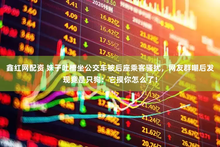 鑫红网配资 妹子吐槽坐公交车被后座乘客骚扰，网友群嘲后发现竟是只狗：它摸你怎么了！