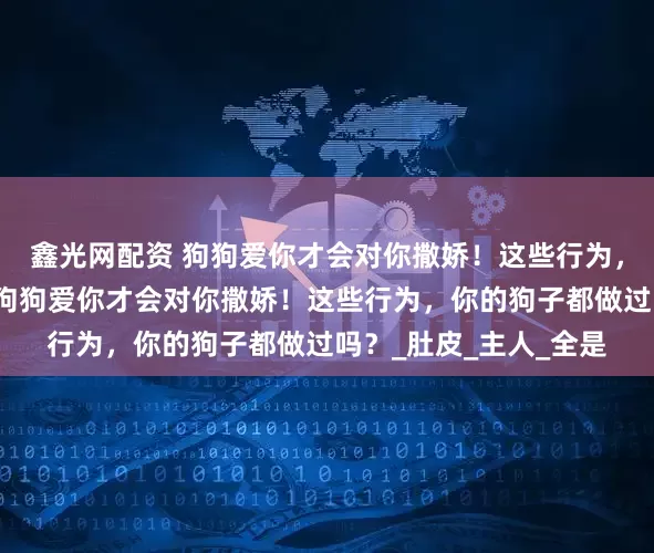 鑫光网配资 狗狗爱你才会对你撒娇！这些行为，你的狗子都做过吗？狗狗爱你才会对你撒娇！这些行为，你的狗子都做过吗？_肚皮_主人_全是