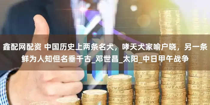 鑫配网配资 中国历史上两条名犬，哮天犬家喻户晓，另一条鲜为人知但名垂千古_邓世昌_太阳_中日甲午战争