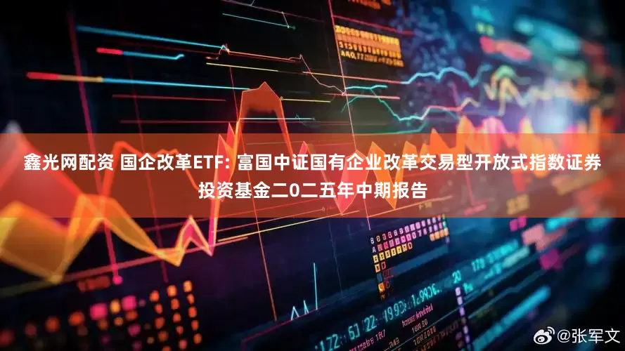 鑫光网配资 国企改革ETF: 富国中证国有企业改革交易型开放式指数证券投资基金二0二五年中期报告