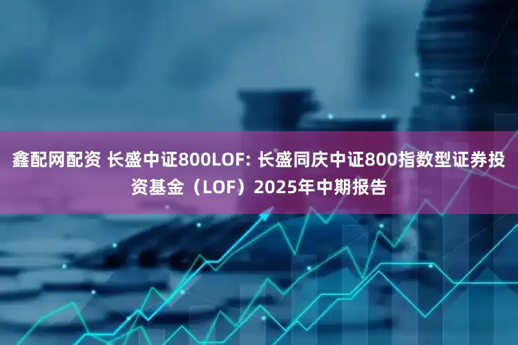 鑫配网配资 长盛中证800LOF: 长盛同庆中证800指数型证券投资基金（LOF）2025年中期报告